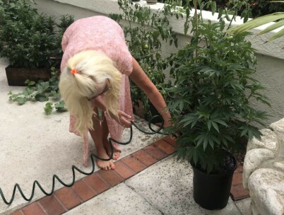 OVERRASKET: Maria Montazami fant marihuana på datterens balkong. Foto: Skjermdump fra blogg / Maria Montazami OVERRASKET: Maria Montazami fant marihuana på datterens balkong. Foto: Skjermdump fra blogg / Maria Montazami
